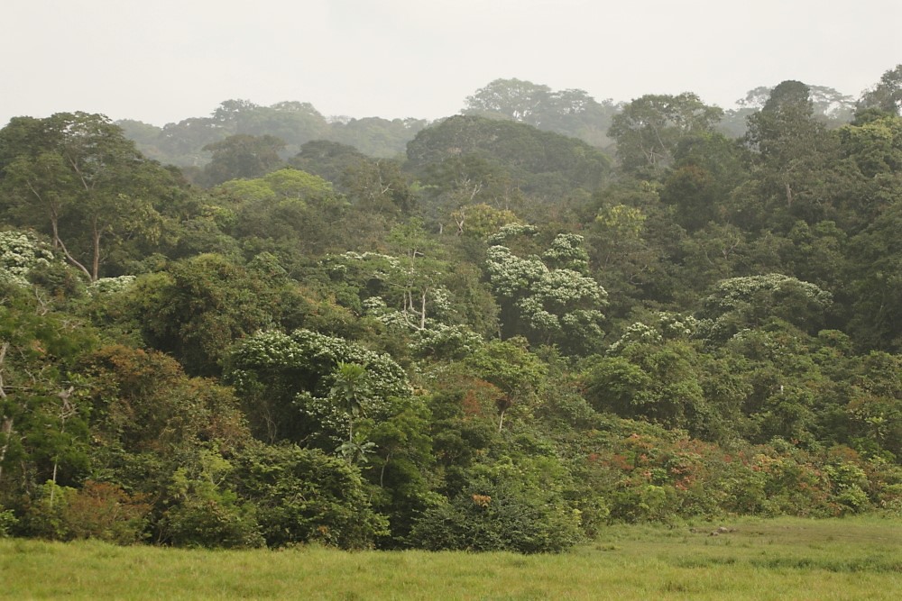 2329018690 636bebac4f b